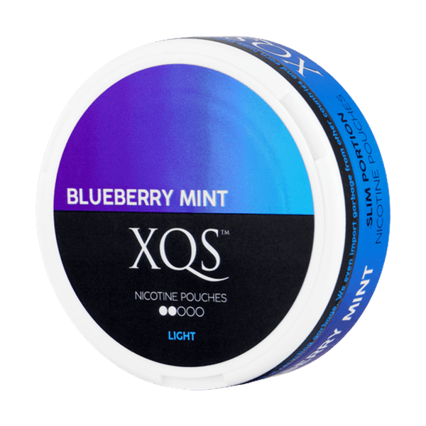 XQS Blueberry Mint Light nikotinposer